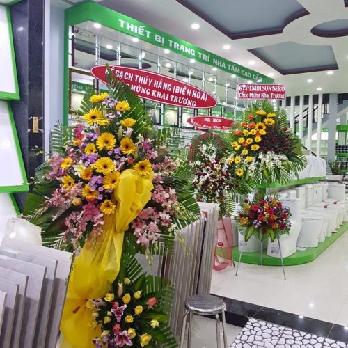 showroom PHƯỚC HẢI