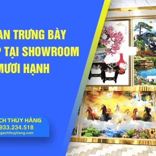 Không gian trưng bày tuyệt đẹp tại showroom kệ gạch Mươi Hạnh